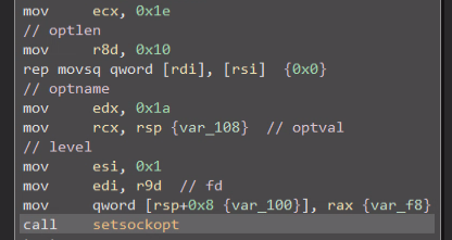 Figure 5 - Call to setsockopt