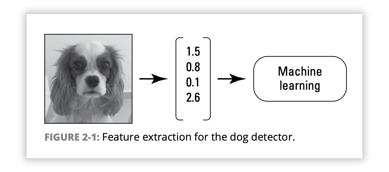 Figure 2-1: Feature extraction for the dog detector.