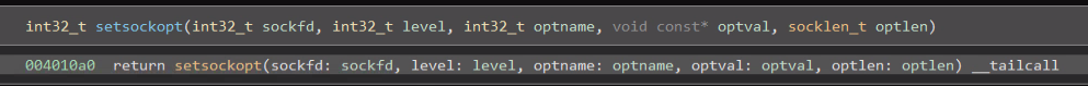 Figure 4 - Setsockopt options